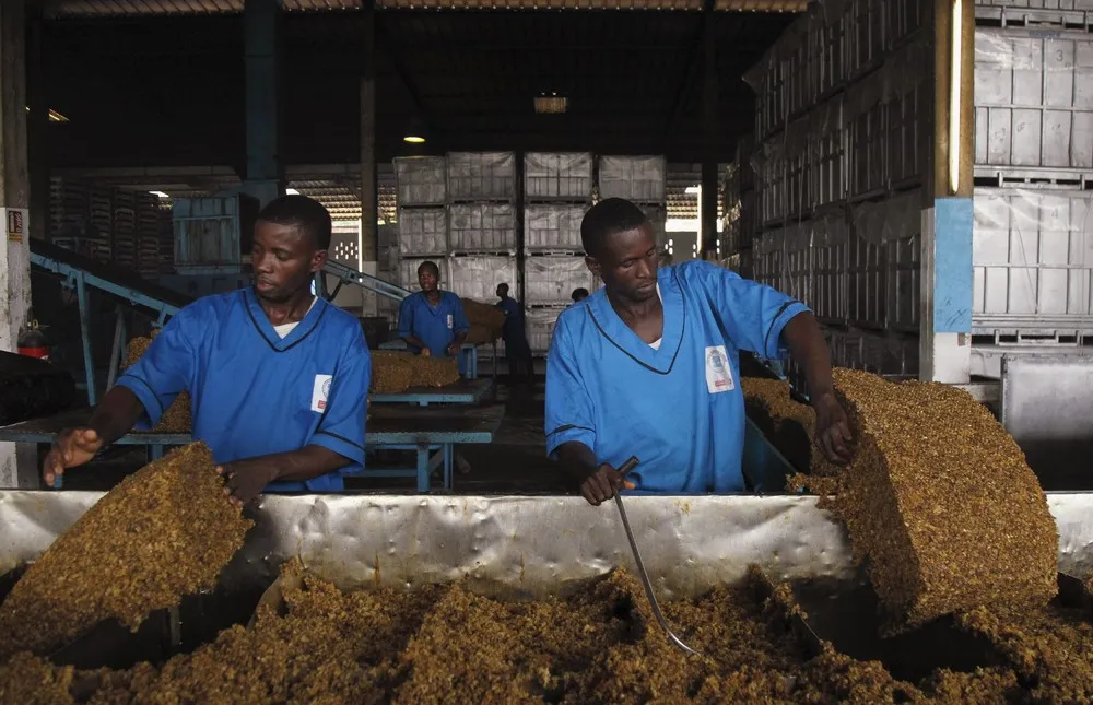 Rubber Factory in Cote d'Ivoire