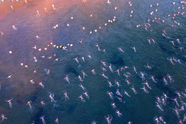 A picture taken with a drone shows people participating in the 2021 Dark Mofo Nude Solstice Swim at Sandy Bay beach in Hobart, Australia, ​22 June 2021. (Photo by Rob Blakers/EPA/EFE)