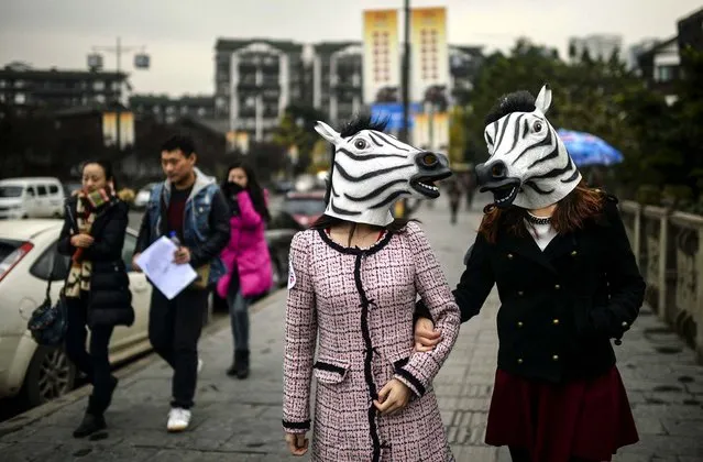 Women wear zebra masks as they walk down a street as part of an artistic performance ahead of the Year of the Horse in Chinese zodiac in Chongqing Municipality, on December 10, 2013. The performance aims to bring good luck to everyone for the upcoming year. (Photo by Reuters)