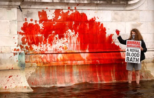 An Extinction Rebellion activist holds a placard in a fountain stained with fake blood during a protest next to Buckingham Palace in London, Britain, August 26, 2021. The climate protest group, which accuses financial firms of helping to fuel climate change, said it would target the UK capital's financial district in two weeks of disruptive protests. (Photo by John Sibley/Reuters)