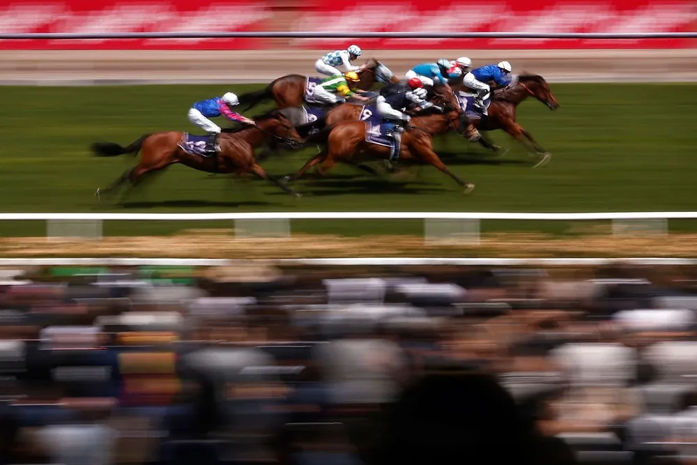 Some Photos: In Motion