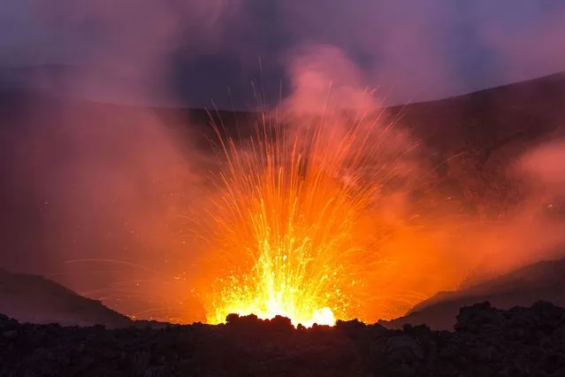 The Plosky Tolbachik volcano erupting. (Photo by Denis Budkov/Caters News)