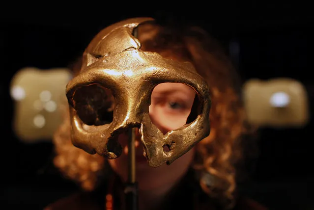 A girl looks through the replica of a neanderthal skull displayed in the new Neanderthal Museum in the northern town of Krapina February 25, 2010. (Photo by Nikola Solic/Reuters)