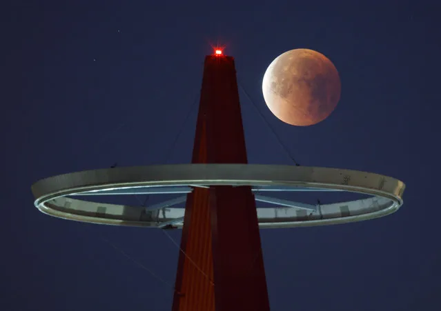 A so-called “Supermoon” shines its blood red colors during a full eclipse above the Big A Sign of Angel Stadium in Anaheim, California, USA, 31 January 2018, during the last time in a series of three consecutive “Supermoons”, dubbed the “Supermoon Trilogy”. The previous “Supermoons” appeared on 03 December 2017 and on 01 January 2018. A 'Supermoon' commonly is described as a full moon at its closest distance to the earth with the moon appearing larger and brighter than usual. (Photo by Eugene Garcia/EPA/EFE)