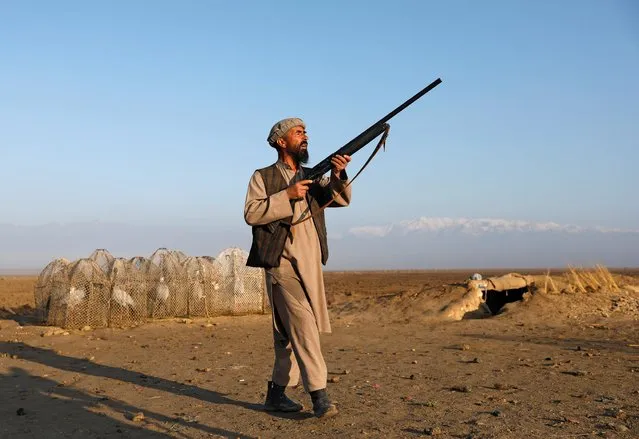 Jan Agha aims his gun at birds in Bagram, Parwan province, Afghanistan on April 10, 2019. Spring is the season of cranes, which the hunters try to catch alive in snares, using a specially trained tethered bird whose cries attract passing flocks. “I like this crane because it won't be silent when the other big groups of cranes come, and it always forces them to come down. I like it because he is really a hunter bird”. (Photo by Mohammad Ismail/Reuters)