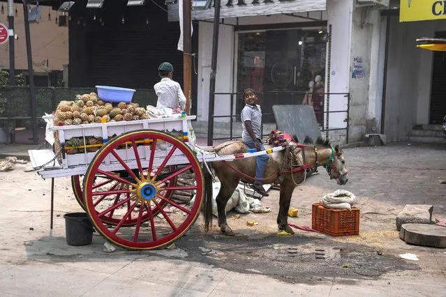 Children of a fruit vendor selling pineapple on a horse cart share a moment as they await customers by a road side in Hyderabad, India, Thursday, March 14, 2024. (Photo by Mahesh Kumar A./AP Photo)