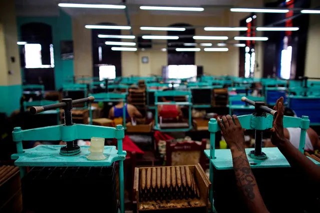 Cigars are seen at the H. Upmann tobacco factory in Havana, Cuba on March 2, 2017. (Photo by Alexandre Meneghini/Reuters)