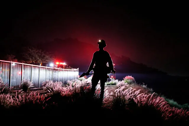 An LA County firefighter stands watch as dozens battle a brush fire in the foothills of Azusa, California on February 12, 2022. A phalanx of fire engines line E.Camellia Way to protect nearby homes should winds shift. (Photo by Robert Gauthier/Los Angeles Times/Rex Features/Shutterstock)