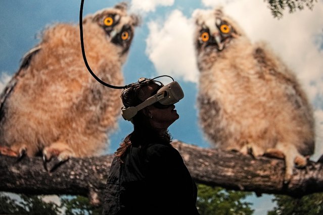 A visitor uses a virtual reality headset in front of large nature photos as he visits the exhibition “The Fragile Paradise” at the Gasometer in Oberhausen, Germany, Tuesday, May 23, 2023. More than one million people have visited the climate history exhibition of our planet, featuring impressive, award-winning photographs and videos showing how the flora and fauna of Earth have changed. (Photo by Martin Meissner/AP Photo)