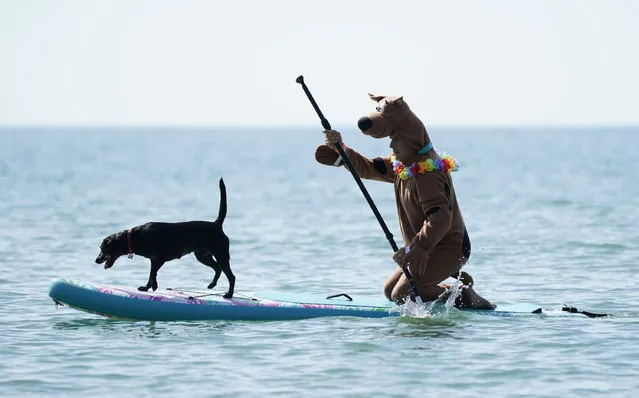 A competitor and their dog practice before the Dog Masters 2022 UK Dog Surfing Championships at Branksome Dene Chine beach in Poole, Dorset on Saturday, July 23, 2022. (Photo by Andrew Matthews/PA Images via Getty Images)