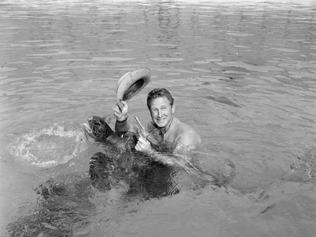 Lloyd Bridges poses in the water with a turtle in Los Angeles, June 9, 1959. (Photo by AP Photo)