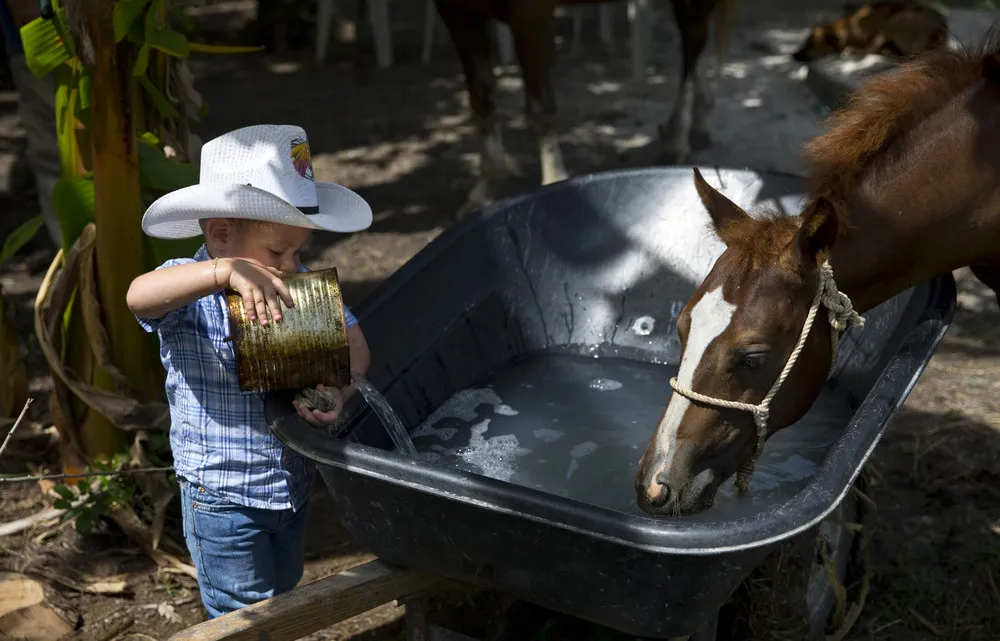 Cuban Child Rodeo