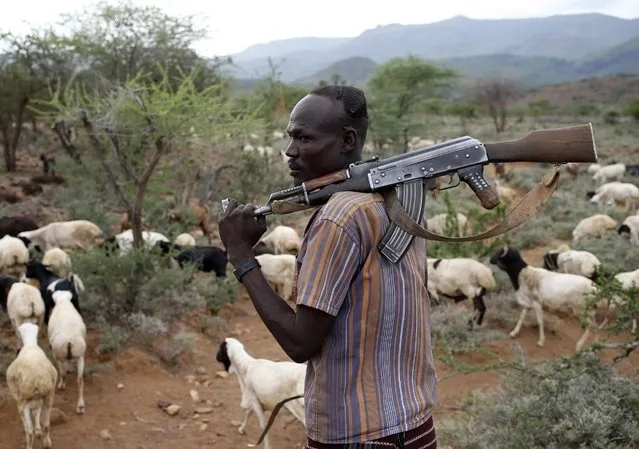 A Turkana man carrying a weapon herds his goats in northwestern Kenya inside the Turkana region of the Ilemy Triangle September 26, 2014. (Photo by Goran Tomasevic/Reuters)