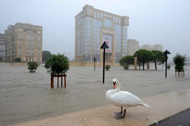 A picture taken on September 29, 2014 shows flooded streets near the banks of the Lez river in the southern French city of Montpellier in the department of Herault, which was placed under hight flood alert until September 30. (Photo by Sylvain Thomas/AFP Photo)