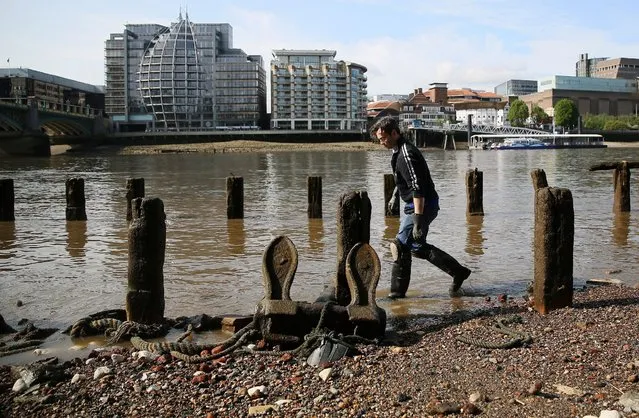 Mudlark Jason Sandy looks for items on the bank of the River Thames in London, Britain May 22, 2016. (Photo by Neil Hall/Reuters)