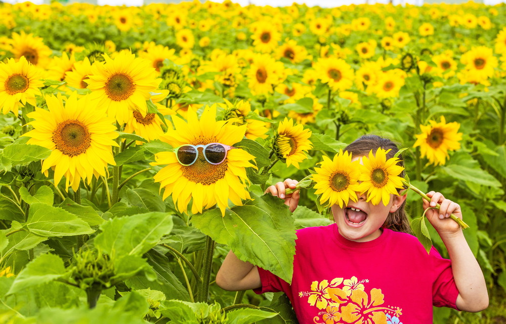 Some Photos: In Flowers