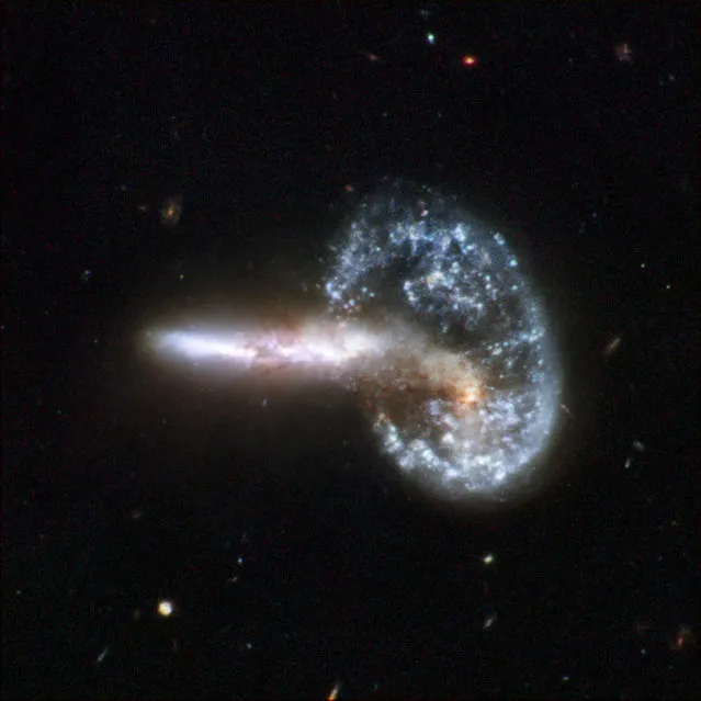 The staggering aftermath of an encounter between two galaxies, resulting in a ring-shaped galaxy and a long-tailed companion. The collision between the two parent galaxies produced a shockwave effect that first drew matter into the center and then caused it to propagate outwards in a ring. (Photo by Reuters/NASA/ESA)