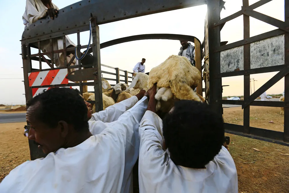 The Day in Photos – September 11, 2016