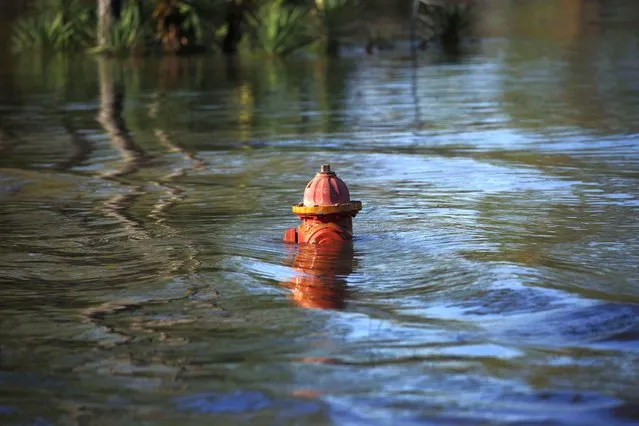 A fire hydrant stands submerged in floodwaters after Hurricane Delta made landfall in Lake Charles, Louisiana, U.S., on Saturday, October 10, 2020. Delta weakened to a tropical depression as it moved inland over northeastern Louisiana, knocking out power lines and drenching an area still recovering from the onslaught of Hurricane Laura. (Photo by Luke Sharrett/Bloomberg via Getty Images)
