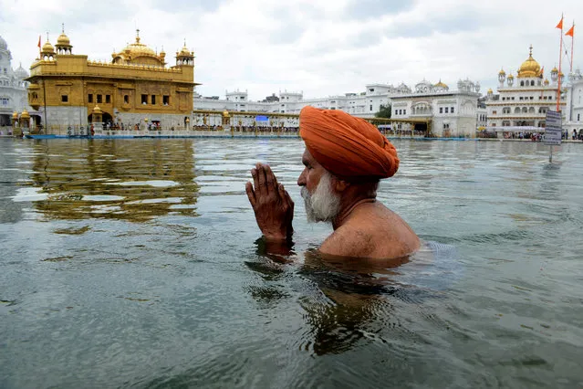 An Indian Sikh devotee bathes in the holy  sarover (water tank) on the occasion of “Hola Mohalla” at The Golden Temple in Amritsar on March 28, 2013. Hola Mohalla is a three day Sikh festival, in which Nihang Sikh 'warriors' perform Gatka (mock encounters with real weapons), tent pegging and bareback horse-riding, which usually falls in March following the Hindu festival of Holi. (Photo by Narinder Nanu/AFP Photo)