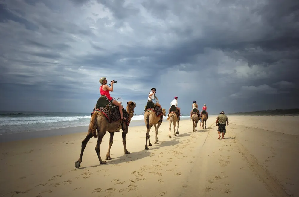 The Week in Pictures: November 29 – December 5, 2014. Part 5/6