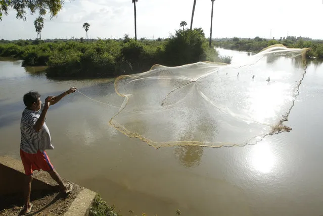 A Cambodian man casts his net for catching fish for his family food on downstream at Tuol village on the outskirt of Phnom Penh, Cambodia, Monday, November 2, 2015. (Photo by Heng Sinith/AP Photo)