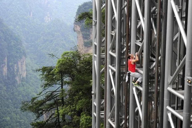 France's daredevil climber Jean-Michel Casanova climbs the Bailong Elevator near a cliff in the Wulingyuan tourism area of Zhangjiajie, Hunan province May 18, 2013. The 330-metre-high (1,083 feet) elevator, opened in 2002, was claimed to be the highest and heaviest outdoor elevator in the world by local government officials. Casanova successfully climbed the outdoor section of the elevator (172 metres, 564 feet) on Saturday without safety equipment in 68 minutes and 26 seconds, local media reported. (Photo by Reuters/China Daily)
