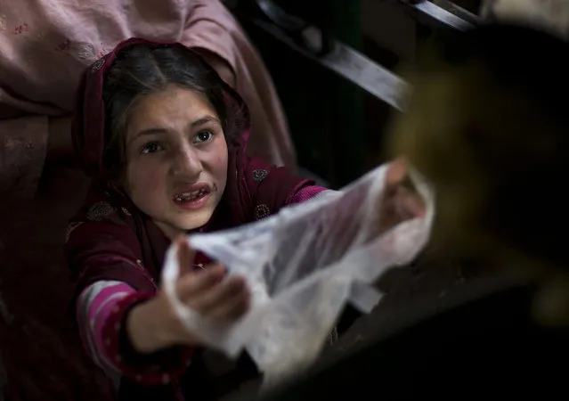 A Pakistani poor girl extends her plastic bag to receive free food for her family, distributed at local shrine in suburbs of Islamabad, Pakistan, Friday, November 20, 2015. Pakistan also observed Universal Children's Day, which is marked annually by the United Nations with other nations. (Photo by B.K. Bangash/AP Photo)