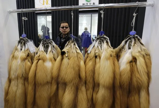 A buyer looks at the fur of farmed fox at the 2015 China Fur and Leather Products Fair in Beijing, January 15, 2015. (Photo by Jason Lee/Reuters)