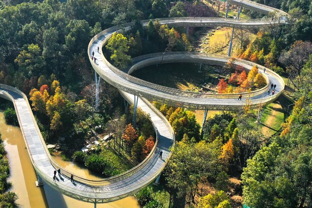 Aerial view of tourists walking on a footpath at Mopan Mountain Forest Park on November 26, 2021 in Nanchang, Jiangxi Province of China. (Photo by Liu Zhankun/China News Service via Getty Images)