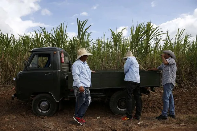 Men stand next to a sugar cane field as they await the caravan carrying Cuba's late President Fidel Castro's ashes in Florida, Cuba, December 1, 2016. (Photo by Carlos Garcia Rawlins/Reuters)