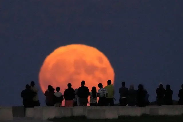 A rare blue supermoon rises over Lake Michigan as spectators watch from Chicago's 31st Street beach Wednesday, August 30, 2023. (Photo by Charles Rex Arbogast/AP Photo)