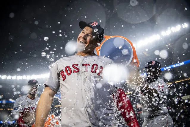 Brock Holt #12 of the Boston Red Sox is doused with Gatorade after hitting for the cycle after game three of the American League Division Series against the New York Yankees on October 8, 2018 at Yankee Stadium in the Bronx borough of New York City. (Photo by Billie Weiss/Boston Red Sox/Getty Images)