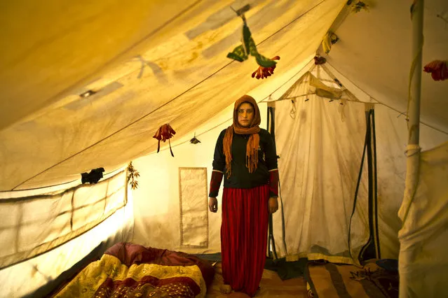 In this Monday, March 16, 2015 photo, pregnant Syrian refugee Wadhah Hamada, 22, poses for a portrait inside her tent at an informal settlement near the Syrian border, on the outskirts of Mafraq, Jordan. Hamada, who fled al-Hasaka, Syria, says she has no clue how her four-month pregnancy is progressing. (Photo by Muhammed Muheisen/AP Photo)