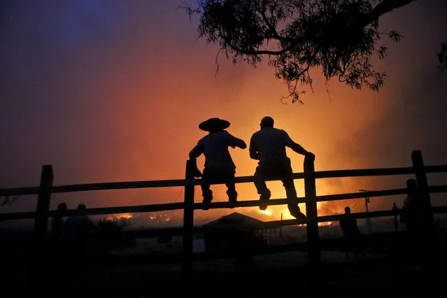 Residents watch the forest burn in Portezuelo, Chile, Sunday, January 29, 2017. Chilean President Michelle Bachelet has announced that the country will continue with its various measures to deal with wild fires, one of the biggest natural disasters in the country for decades, according to a government report released on Sunday. (Photo by Esteban Felix/AP Photo)