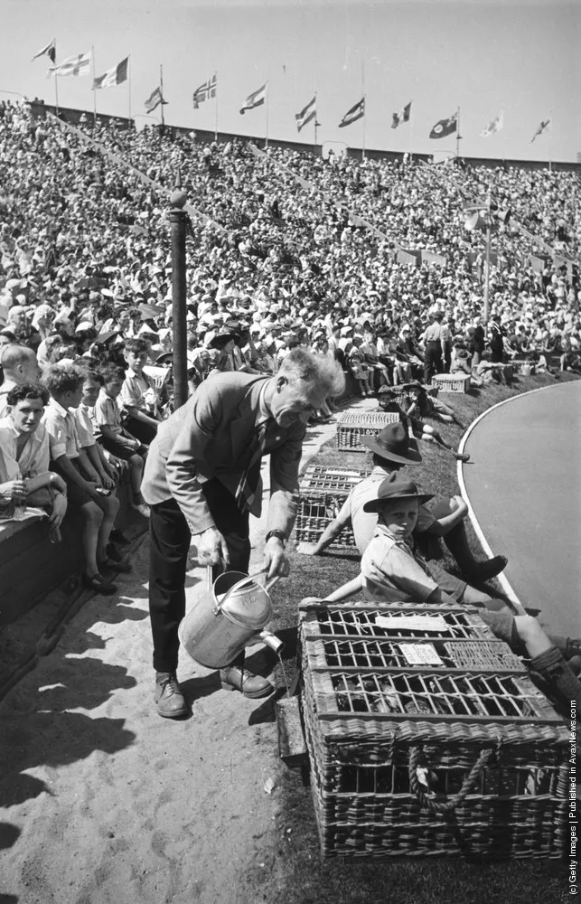 The 1948 Olympic Games