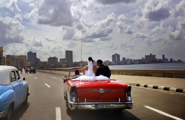 A newly married couple ride in a vintage car on the Malecon in Havana, Cuba, Saturday, March 19, 2016. (Photo by Ramon Espinosa/AP Photo)