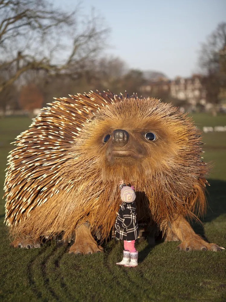 Giant Hedgehog In London