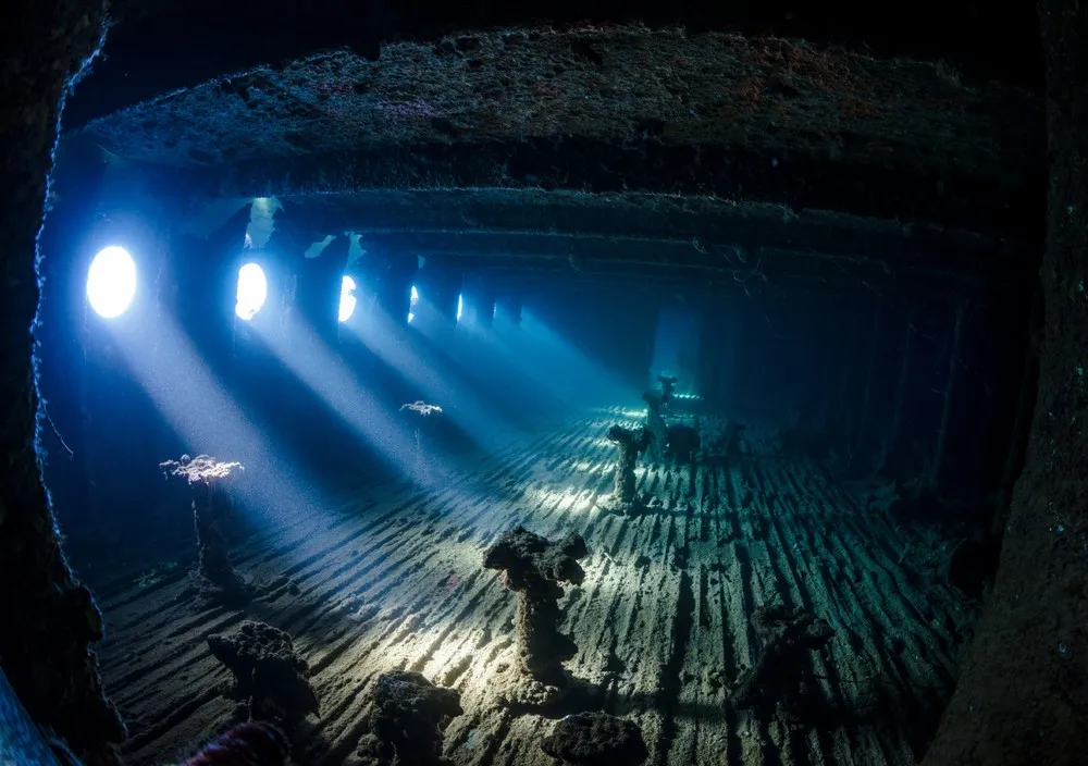 UK Underwater Photographer of the Year 2017 Winners