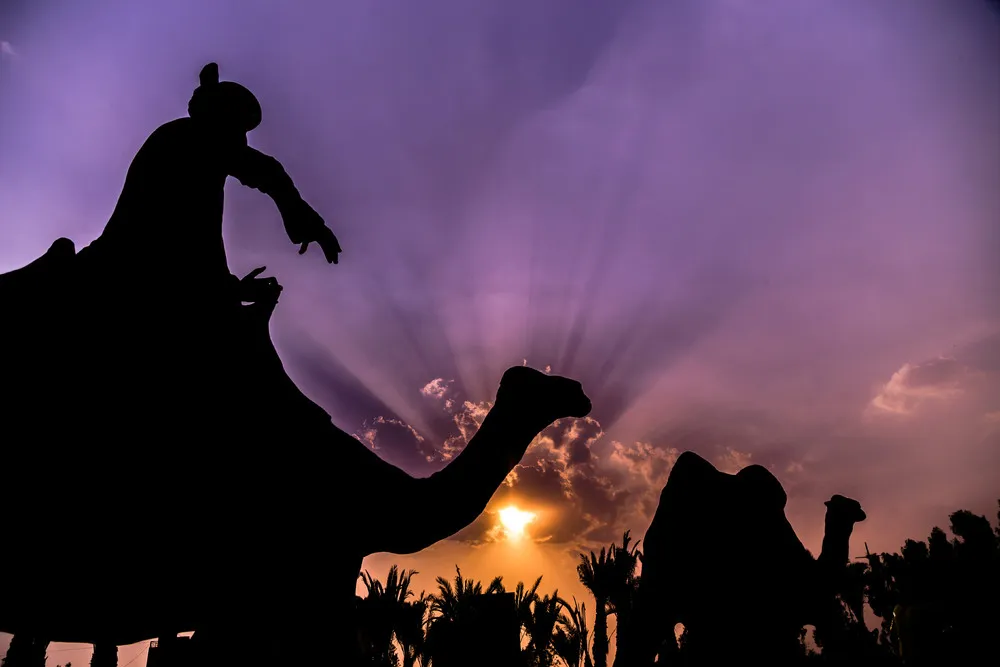 Simply Some Photos: Silhouettes