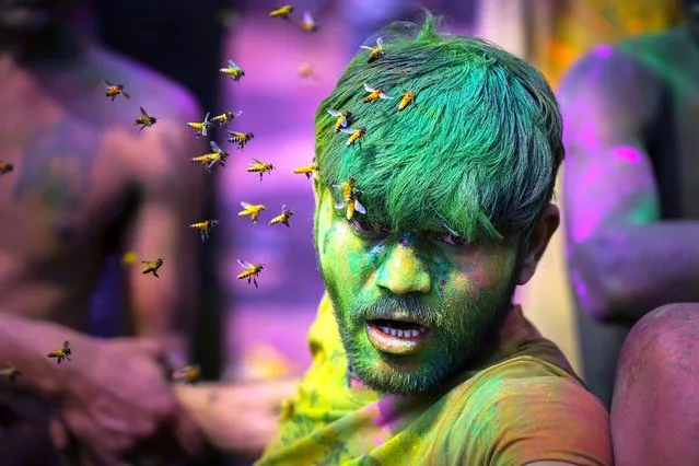 A swarm of bees attack a drunk man during celebrations marking Holi, the Hindu festival of colors, in Guwahati, India, Monday, March 25, 2024. (Photo by Anupam Nath/AP Photo)