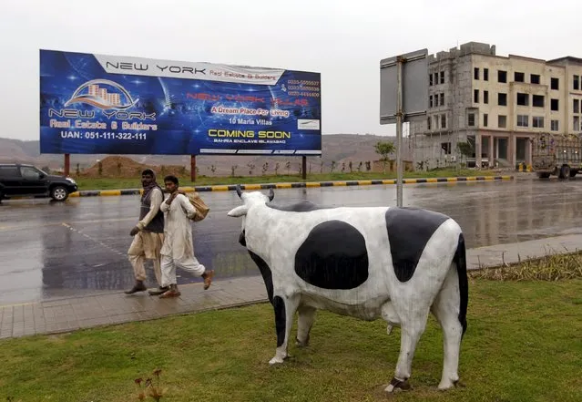 Workers walk past a statue of a cow and a sign advertising a new development in Bahria Town on the outskirts of Islamabad, Pakistan March 16, 2016. (Photo by Caren Firouz/Reuters)