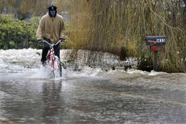 Marty Burns rides his bike as water from the Skookumchuck River flows over N. Peal St. in Centralia, Wash., Friday, January 7, 2022. Rain and snow continued to fall across the Pacific Northwest Friday, causing flooding and concerns about avalanche danger in the mountains. (Photo by Ted S. Warren/AP Photo)