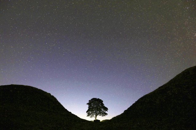 A general view of the stars above Sycamore Gap, prior to the Perseid Meteor Shower above Hadrian's Wall near Bardon Mill, England, on August 13, 2015. One of the UK’s most photographed trees has been “deliberately felled” in an apparent act of vandalism, authorities have said Thursday Sept. 28, 2023. (Photo by Scott Heppell/AP Photo)