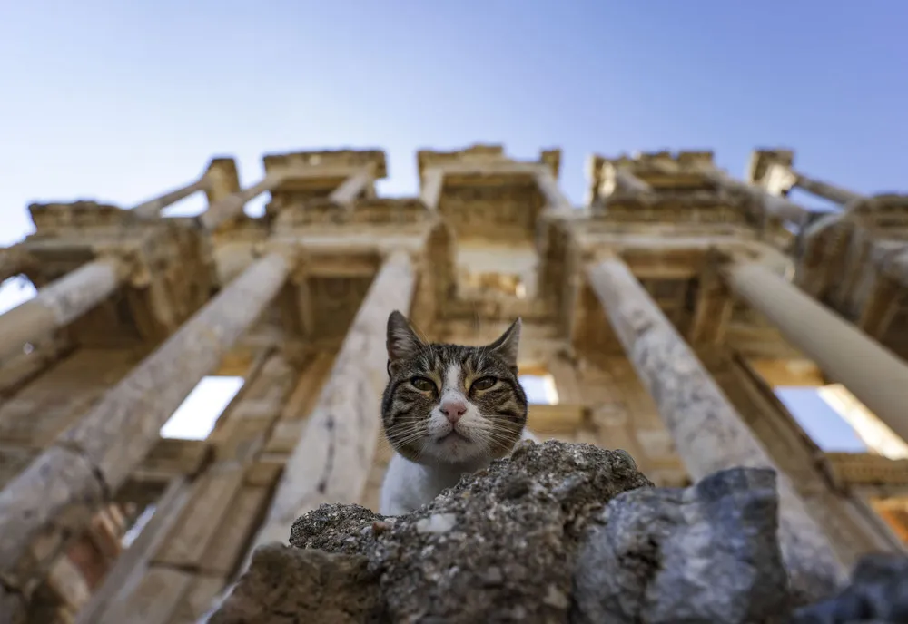 A Look at Life in Turkey