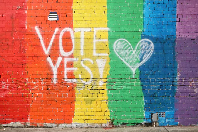 A wall painted with the rainbow flag and a message “Vote Yes” is seen in Newtown on August 28, 2017 in Sydney, Australia. The Australian Marriage Law Postal Survey, which will decide if same-s*x marriage is to be legalised, is due to be sent out by the Australian Bureau of Statistics on September 12. (Photo by Mark Kolbe/Getty Images)