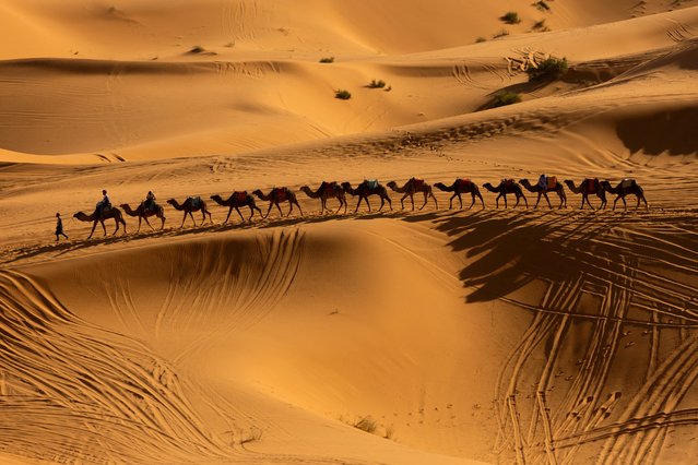 A camel caravan moves along the dunes at the Erg Chebbi sand dunes in the Sahara desert outside Merzouga, Morocco on December 5, 2024. (Photo by Darrin Zammit Lupi/Reuters)
