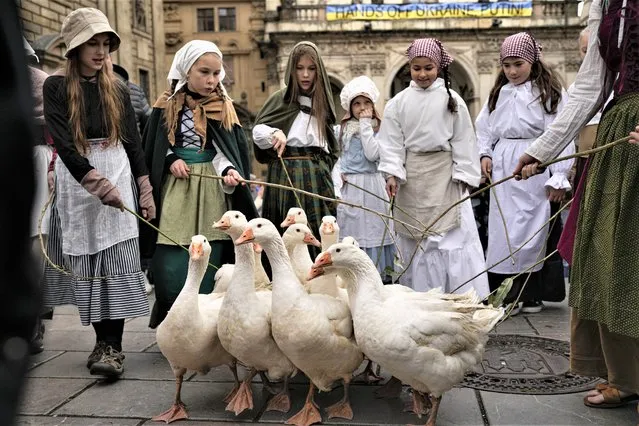 Girls lead a gaggle of geese, backdropped by a banner against the war in Ukraine, during a Saint Martin's Day procession next to Charles Bridge in Prague, Czech Republic, Friday, November 11, 2022. Saint Martin's day marks the end of the harvest season as well as the start of winter. (Photo by Vadim Ghirda/AP Photo)
