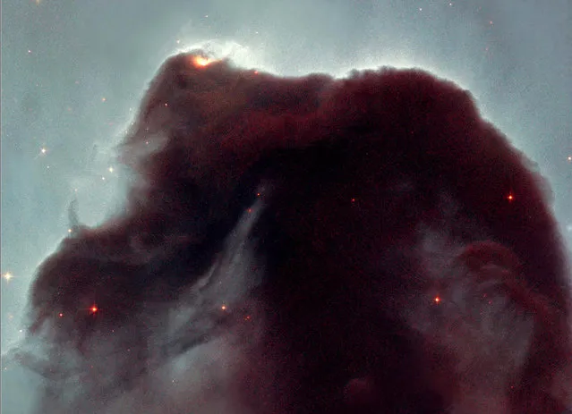 The Hubble telescope took a close-up look at this heavenly icon, revealing the cloud's intricate structure. This detailed view of the horse's head was released April 24, 2001 to celebrate the orbiting observatory's eleventh anniversary. (Photo by Reuters/NASA)