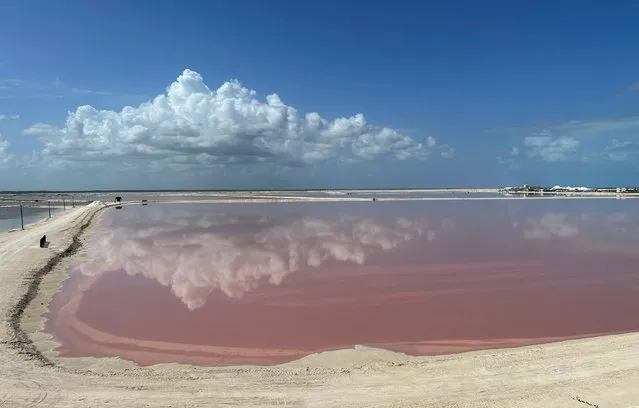 Picture of one of the pink salt evaporation ponds at Las Coloradas, in the Rio Lagartos Municipality on the northern coast of the Yucatan Peninsula, Mexico, taken on November 9, 2022. The water gets its pink tint from red-coloured algae, plankton and brine shrimp. (Photo by Daniel Slim/AFP Photo)